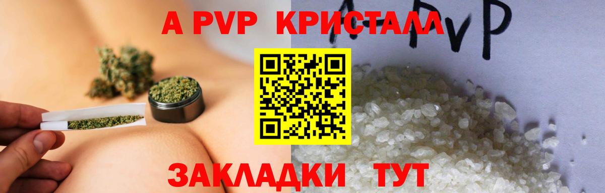 Альфа ПВП СК Волхов