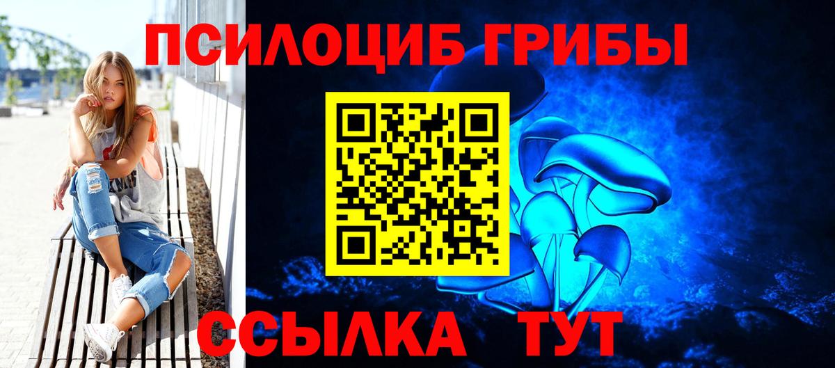 Псилоцибиновые грибы Psilocybine cubensis Волхов